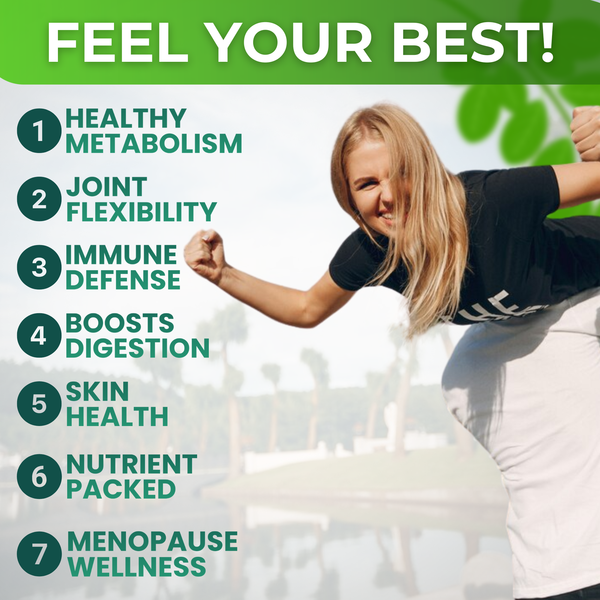 Organic Moringa Leaf Powder Capsules